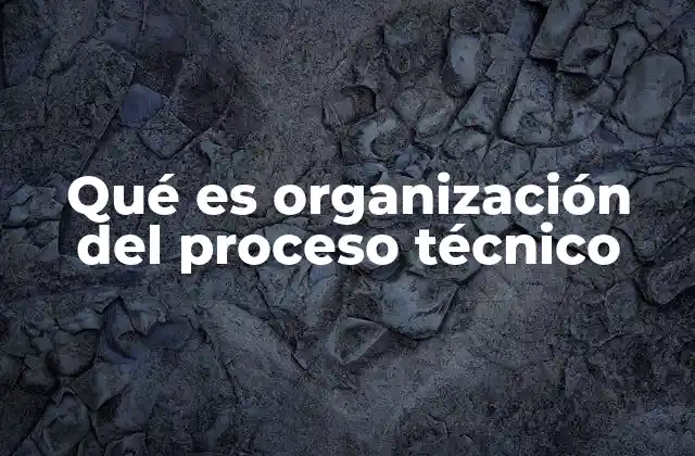 Qué es Organización Del Proceso Técnico