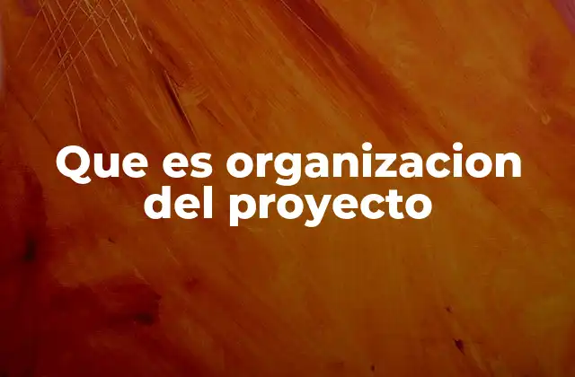 Que es Organizacion Del Proyecto