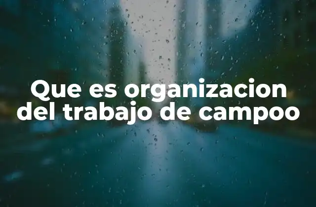 Que es Organizacion Del Trabajo de Campoo