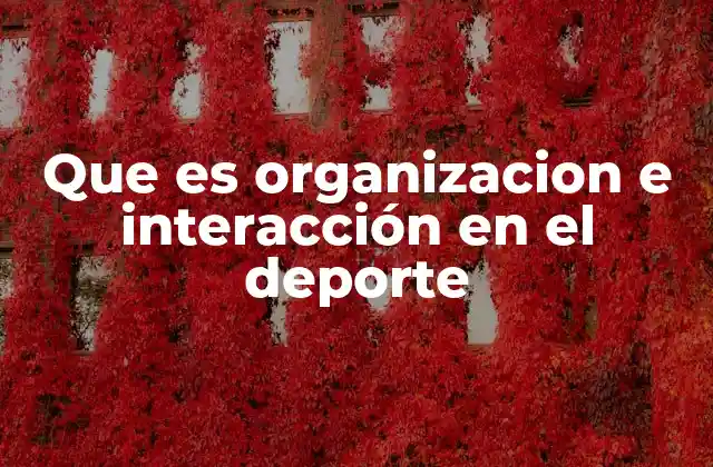 Que es Organizacion e Interacción en el Deporte 2 La base estructural del éxito deportivo