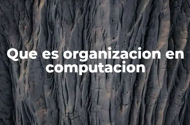 Que es Organizacion en Computacion
