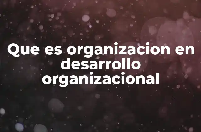 Que es Organizacion en Desarrollo Organizacional