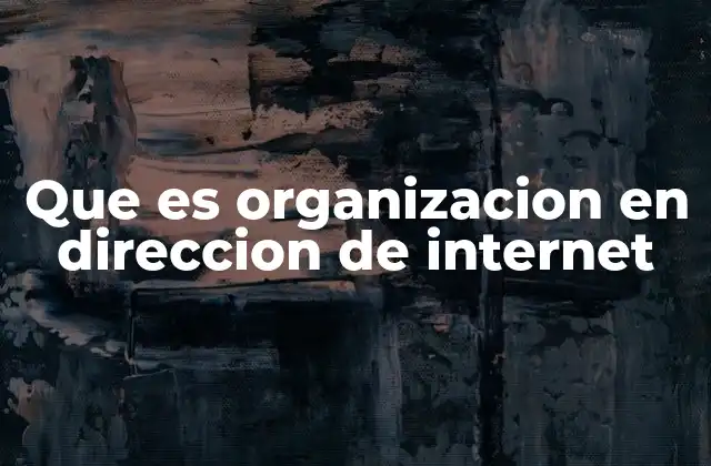 Que es Organizacion en Direccion de Internet