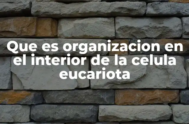 Que es Organizacion en el Interior de la Celula Eucariota