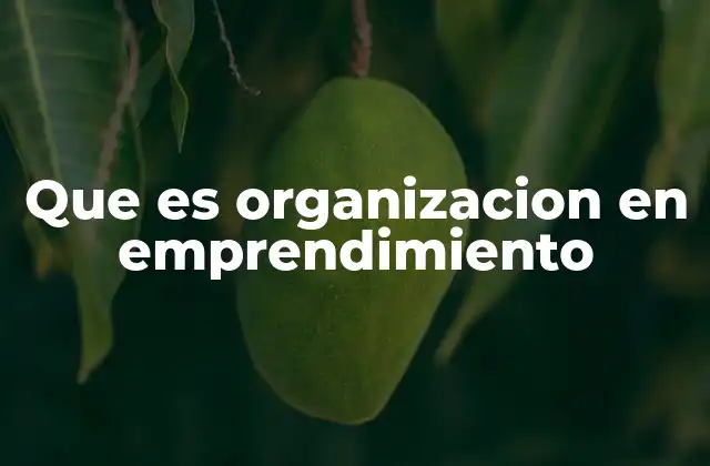 Que es Organizacion en Emprendimiento