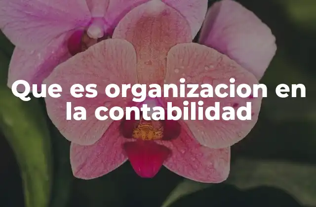 Que es Organizacion en la Contabilidad