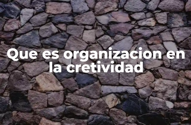 Que es Organizacion en la Cretividad