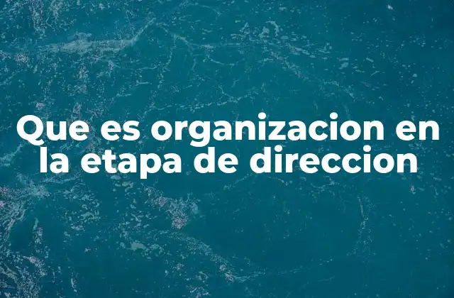 Que es Organizacion en la Etapa de Direccion