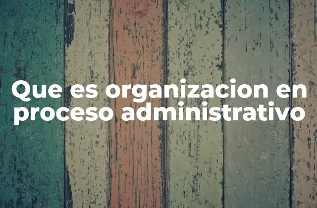Que es Organizacion en Proceso Administrativo