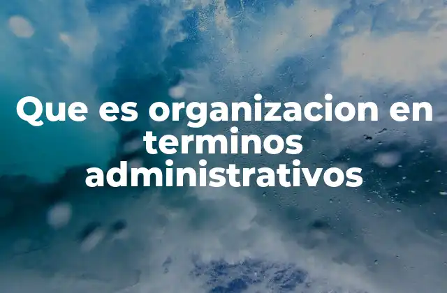 Que es Organizacion en Terminos Administrativos