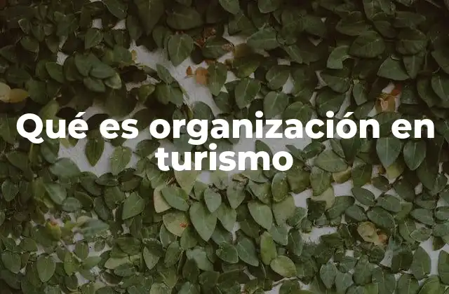 Qué es Organización en Turismo