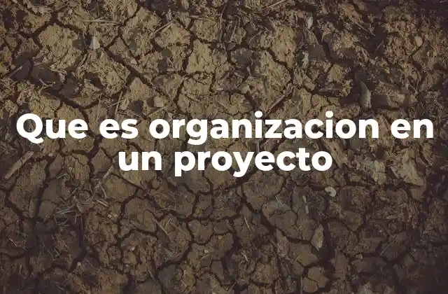Que es Organizacion en un Proyecto