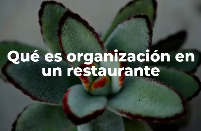 Qué es Organización en un Restaurante