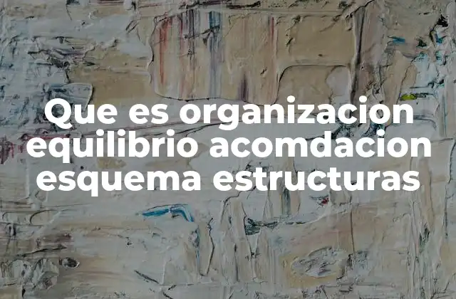 Que es Organizacion Equilibrio Acomdacion Esquema Estructuras
