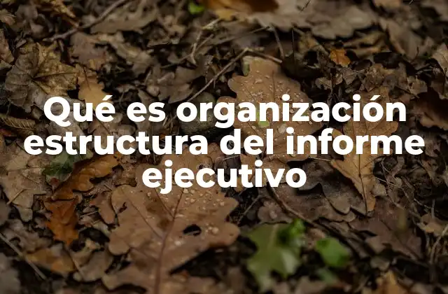 Qué es Organización Estructura Del Informe Ejecutivo