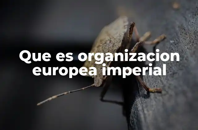 Que es Organizacion Europea Imperial