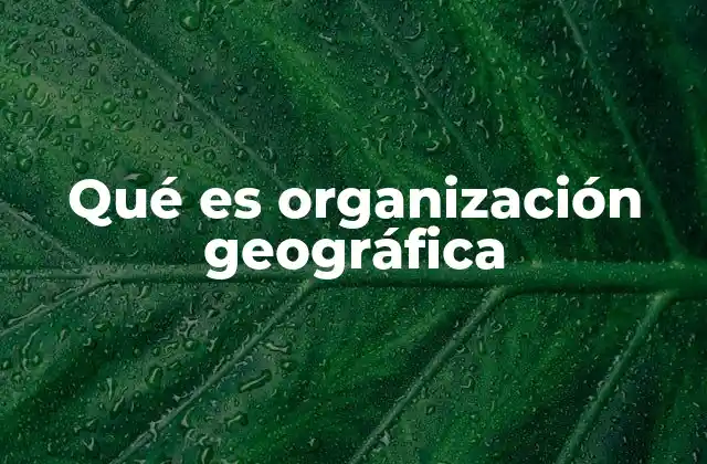 Cómo la organización geográfica influye en el desarrollo territorial