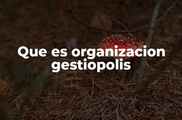 Que es Organizacion Gestiopolis