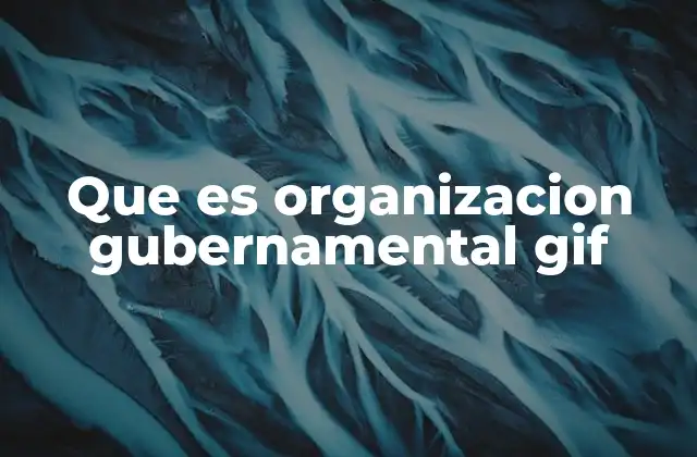 Que es Organizacion Gubernamental Gif