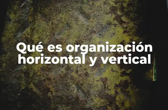 Qué es Organización Horizontal y Vertical