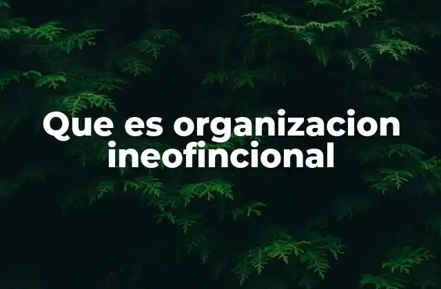 Que es Organizacion Ineofincional