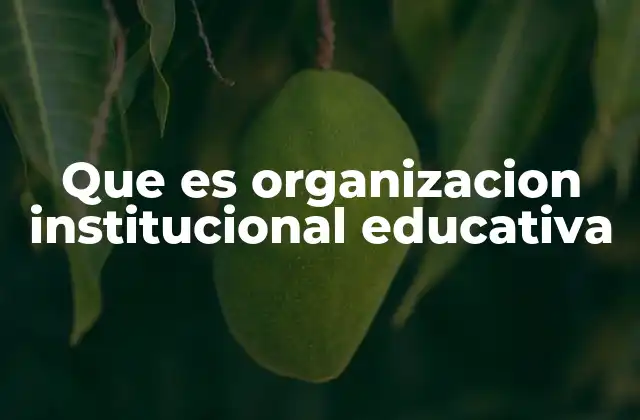 Que es Organizacion Institucional Educativa