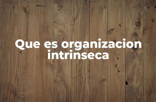 Que es Organizacion Intrinseca