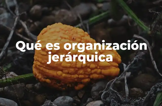 Qué es Organización Jerárquica
