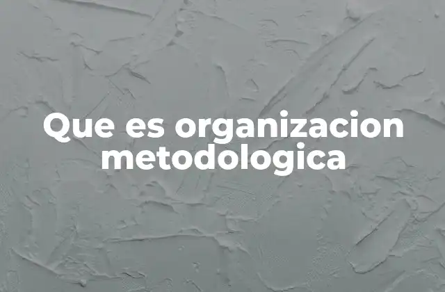Que es Organizacion Metodologica