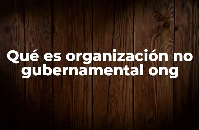 Qué es Organización No Gubernamental Ong