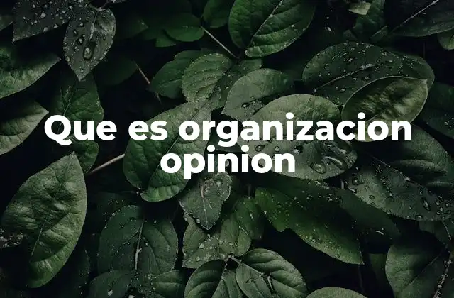 Que es Organizacion Opinion