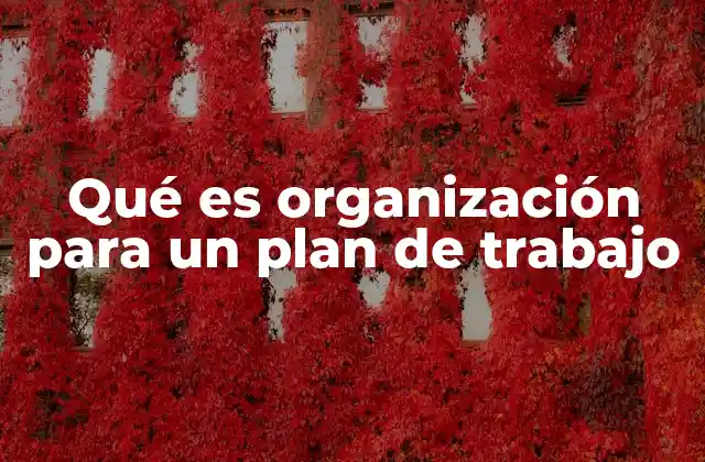 Cómo la organización define la eficacia de un plan de trabajo