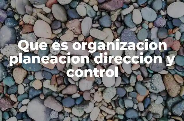 Que es Organizacion Planeacion Direccion y Control