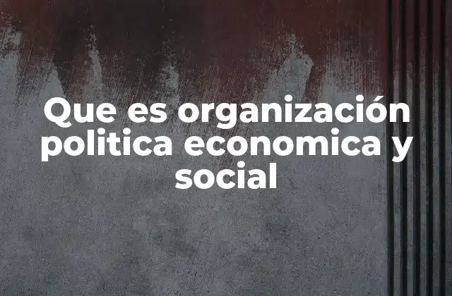 Que es Organización Politica Economica y Social