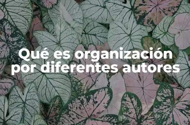Qué es Organización por Diferentes Autores