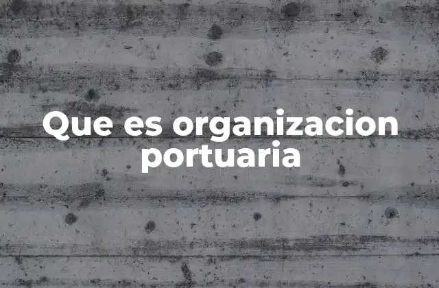 Que es Organizacion Portuaria