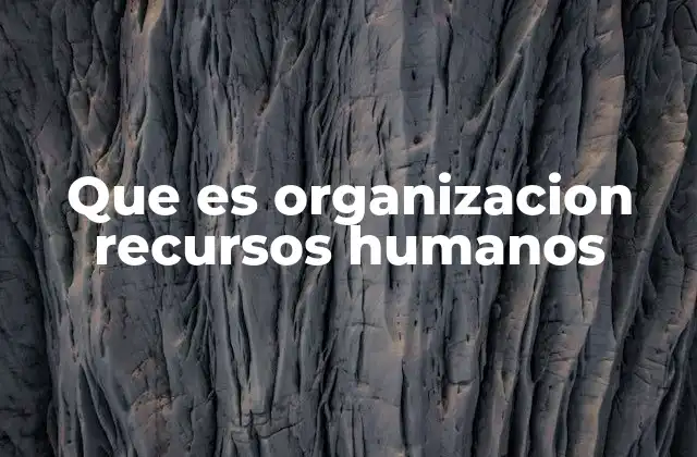 Que es Organizacion Recursos Humanos