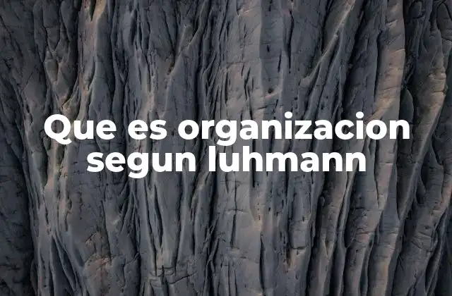 Que es Organizacion Segun Luhmann