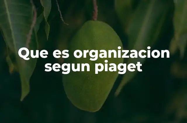 Que es Organizacion Segun Piaget
