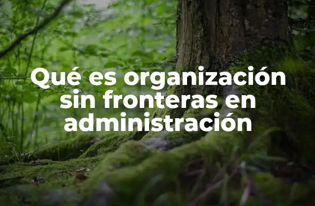 Qué es Organización sin Fronteras en Administración