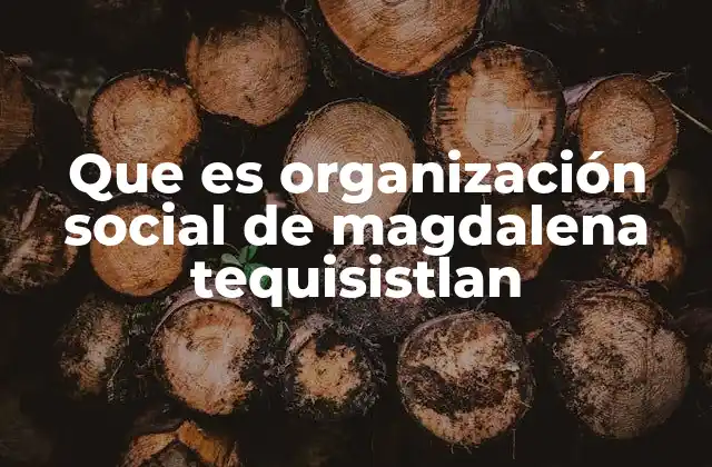 Que es Organización Social de Magdalena Tequisistlan