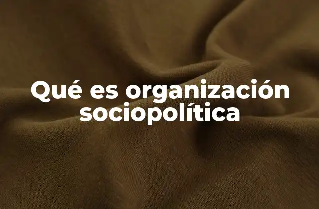 Qué es Organización Sociopolítica