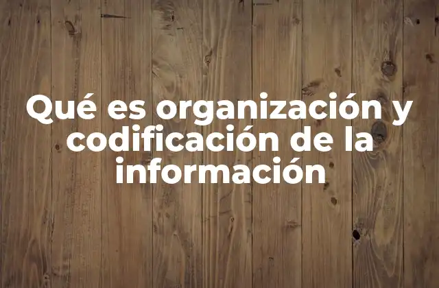 Qué es Organización y Codificación de la Información