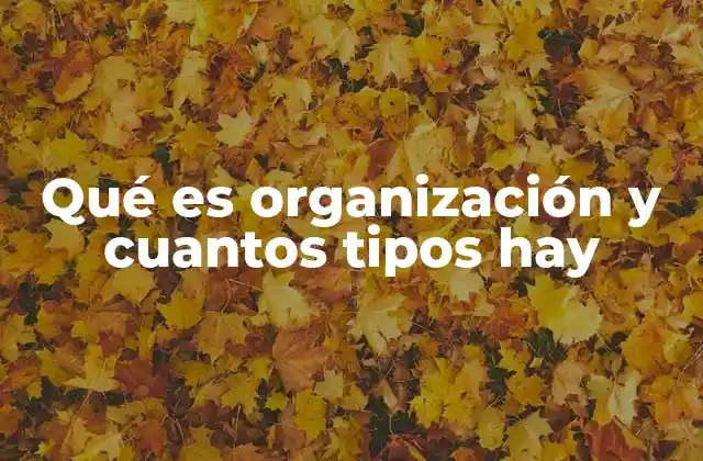Qué es Organización y Cuantos Tipos Hay