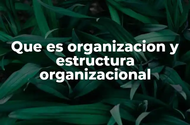 Que es Organizacion y Estructura Organizacional