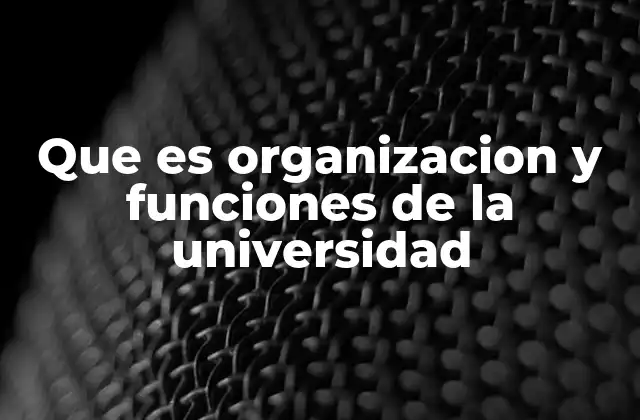 Que es Organizacion y Funciones de la Universidad