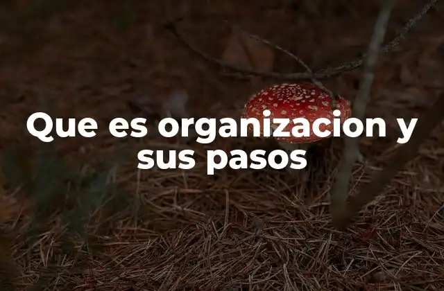 Que es Organizacion y Sus Pasos