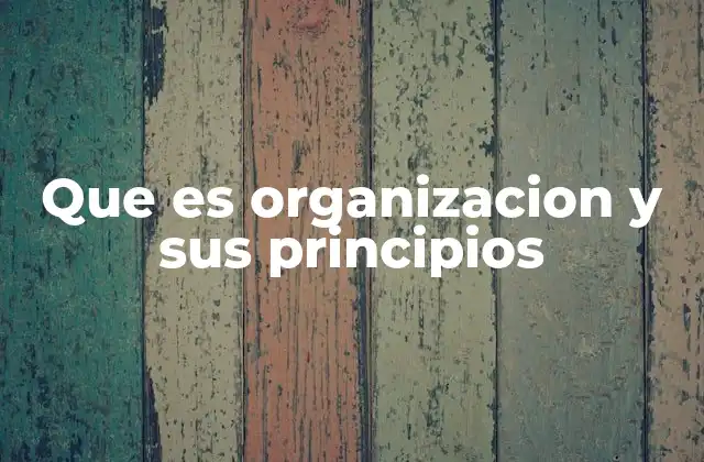 Que es Organizacion y Sus Principios