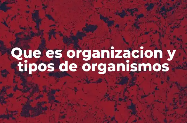 Que es Organizacion y Tipos de Organismos