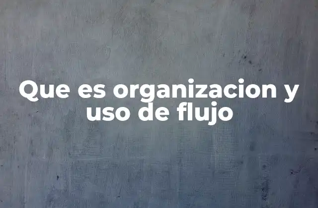 Que es Organizacion y Uso de Flujo